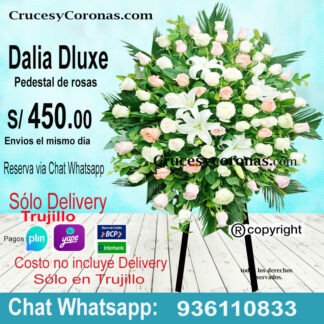 Pedestal de Rosas 11